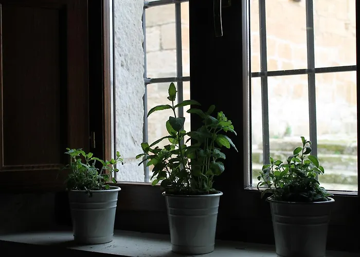 Hotel Rural Restaurante Baronas